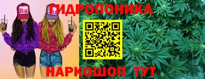 гашик Бузулук