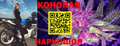 гашик Бузулук