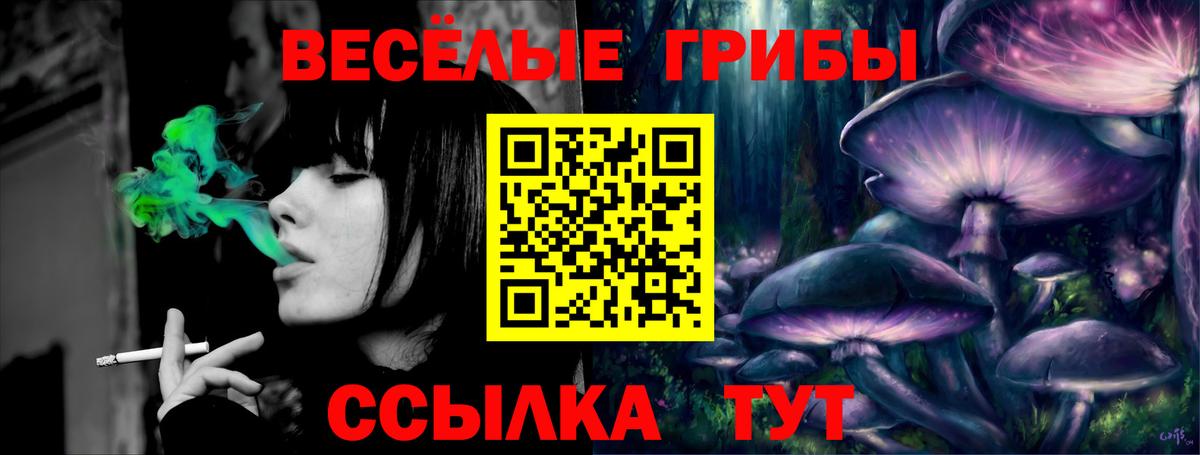Саратов  Псилоцибиновые грибы Cubensis  Вход с VPN 