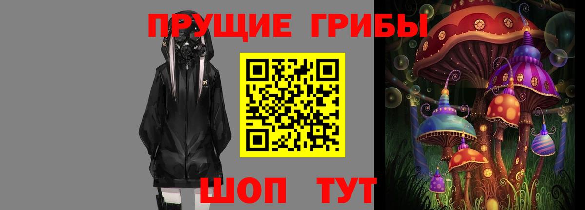 Псилоцибиновые грибы мицелий Саратов